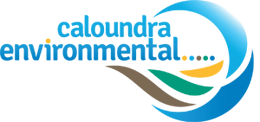 Caloundra Environmental